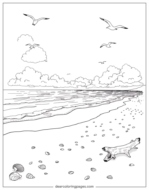 Playa Dibujo para Colorear - Línea de costa de playa