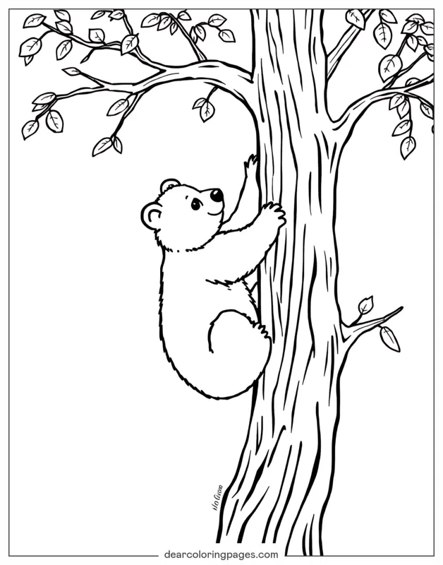 Oso Dibujo para Colorear - Oso subiendo a un árbol