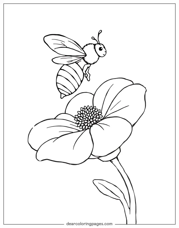 Bee Buzzing above a Large Flower