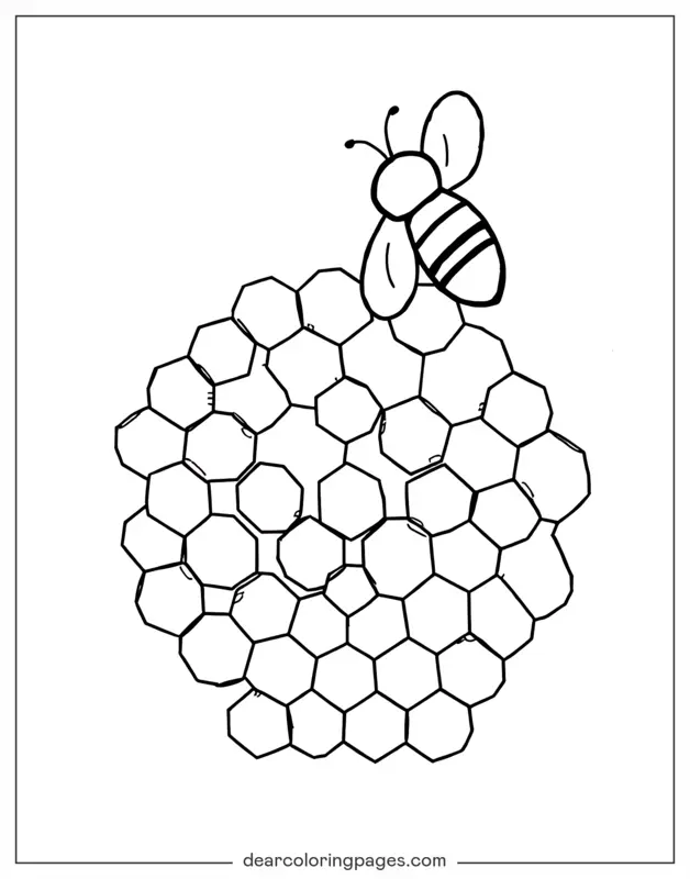 Bee and Honeycomb