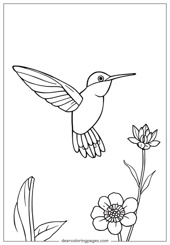 Bird Coloring Page - Bird Hovering on Flower