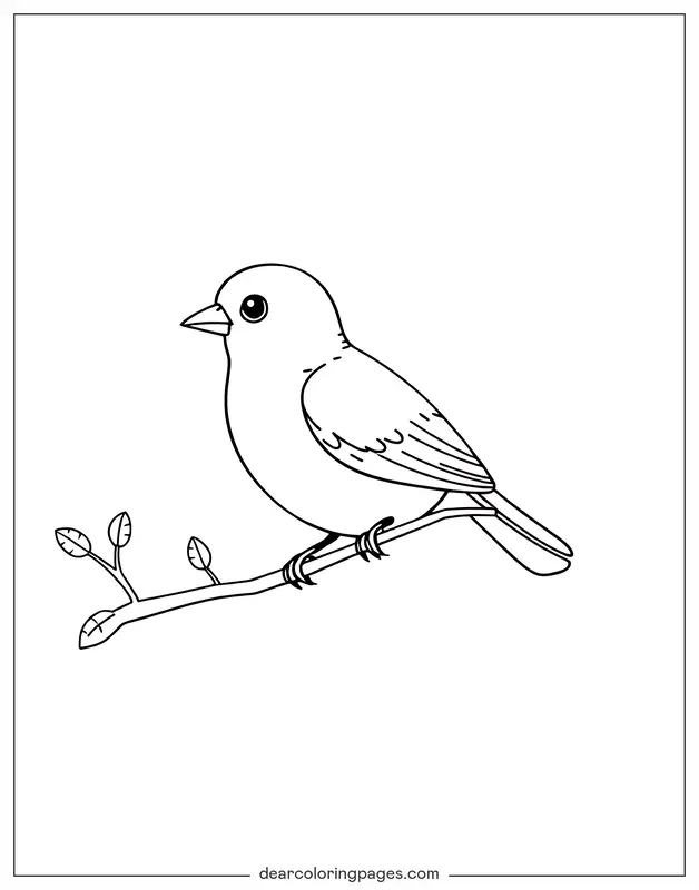 Bird Coloring Page - Bird on a Branch