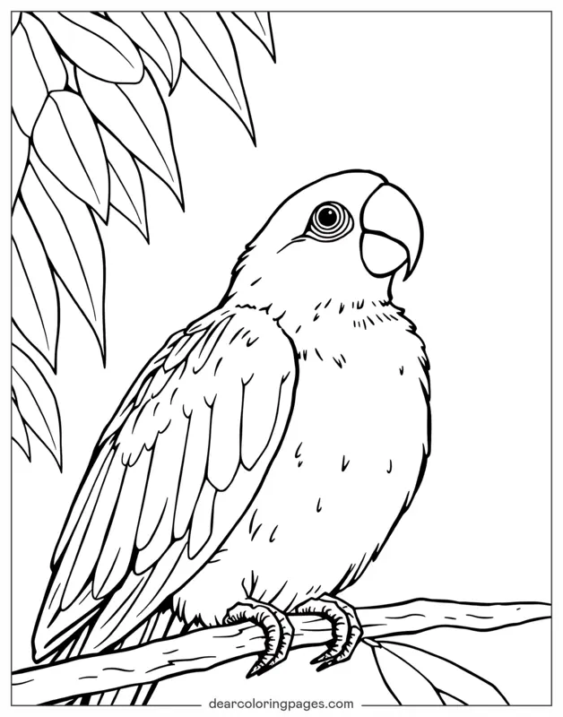 Bird Coloring Page - Simple Parrot Coloring