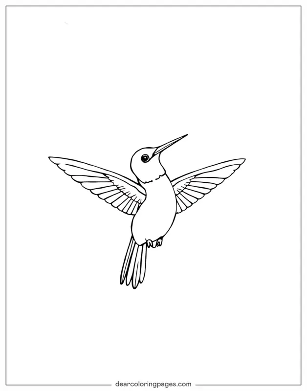 Bird Coloring Page - Simple Hummingbird