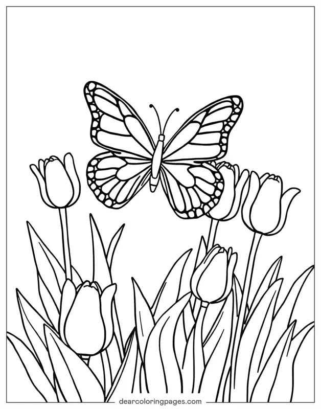 Tulipano Disegno da Colorare - Farfalla sopra i tulipani