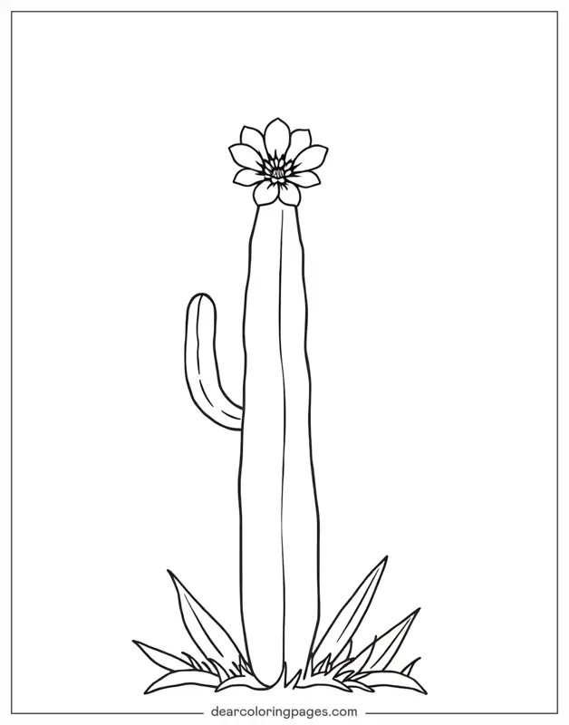 Kaktus Ausmalbild - Kaktusblüte