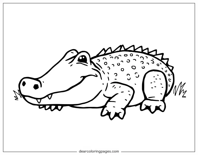 Coloriage de Crocodile – Crocodile