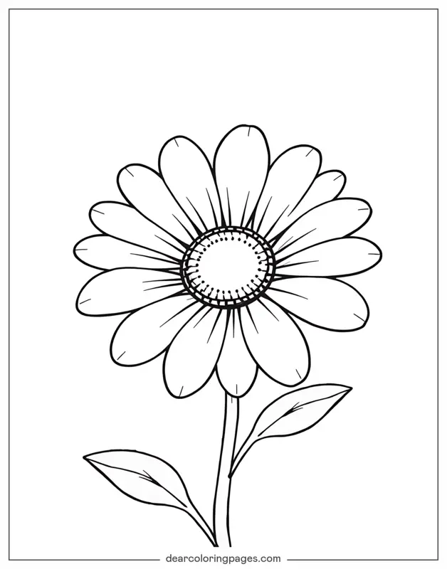 Gänseblümchen Ausmalbild - Gänseblümchen