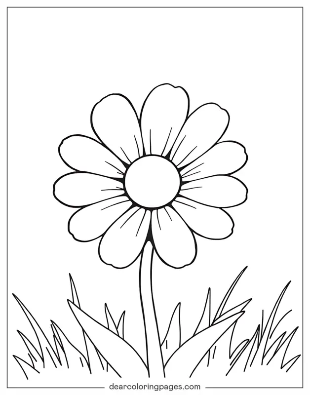 Gänseblümchen Ausmalbild - Gänseblümchen für Kinder