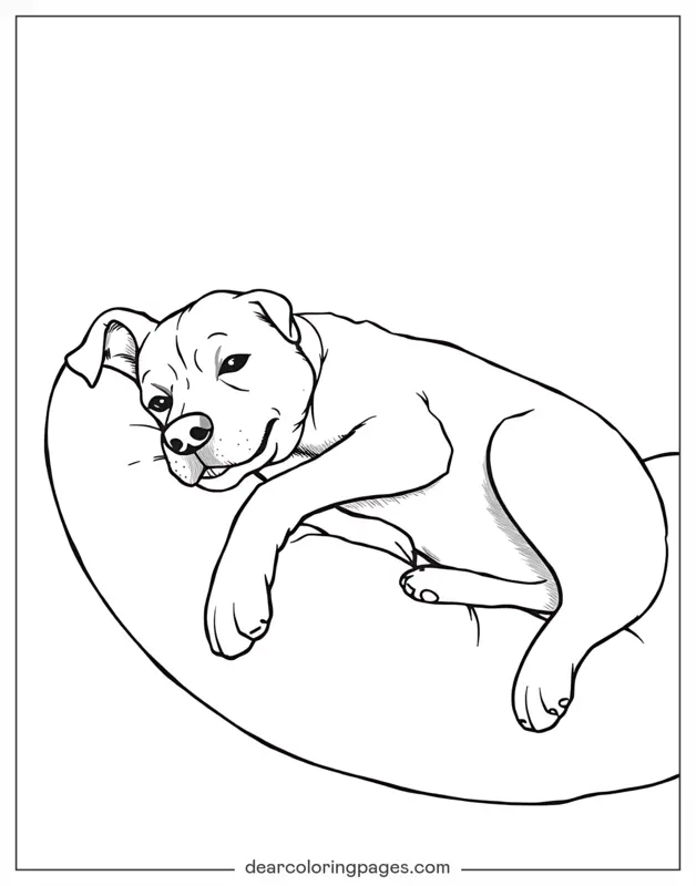Hund Ausmalbild - Hund auf Kissen