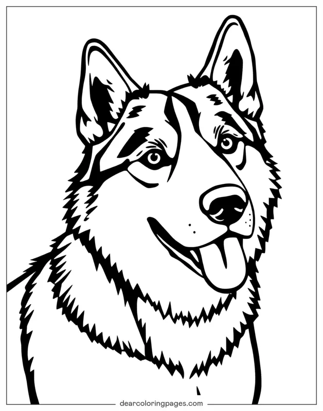 Hund Ausmalbild - Husky