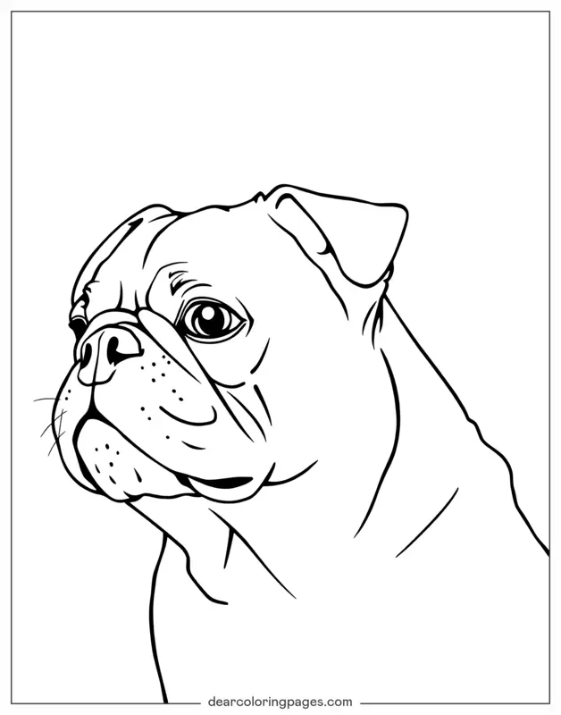 Hund Ausmalbild - Realistischer Mops