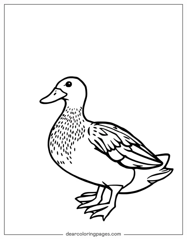 Anatra Disegno da Colorare - Anatra