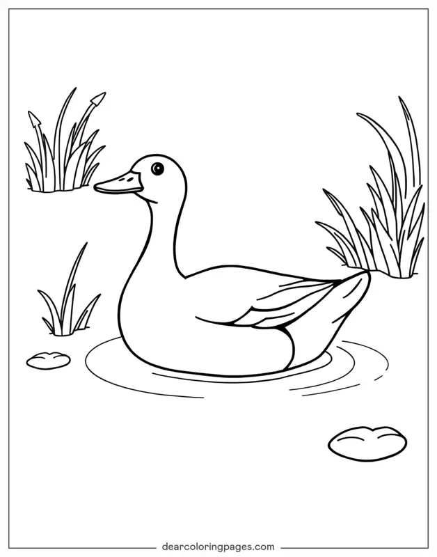 Anatra Disegno da Colorare - Anatra in uno stagno