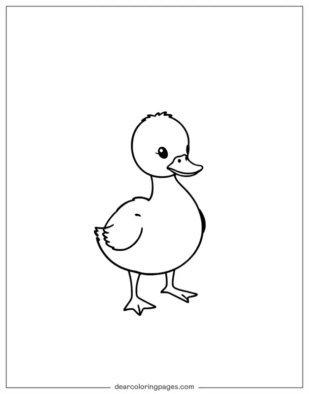 Anatra Disegno da Colorare - Schizzo di anatroccolo
