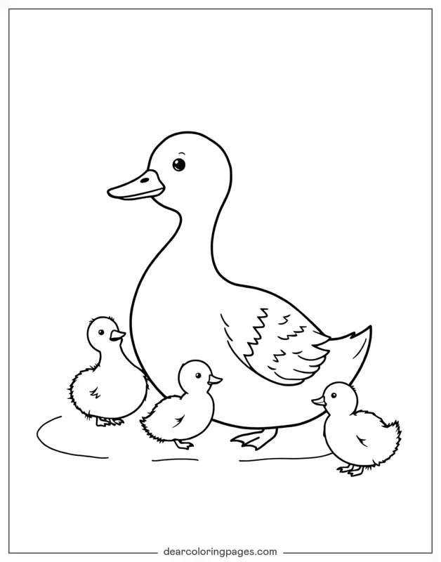 Anatra Disegno da Colorare - Anatra e anatroccoli