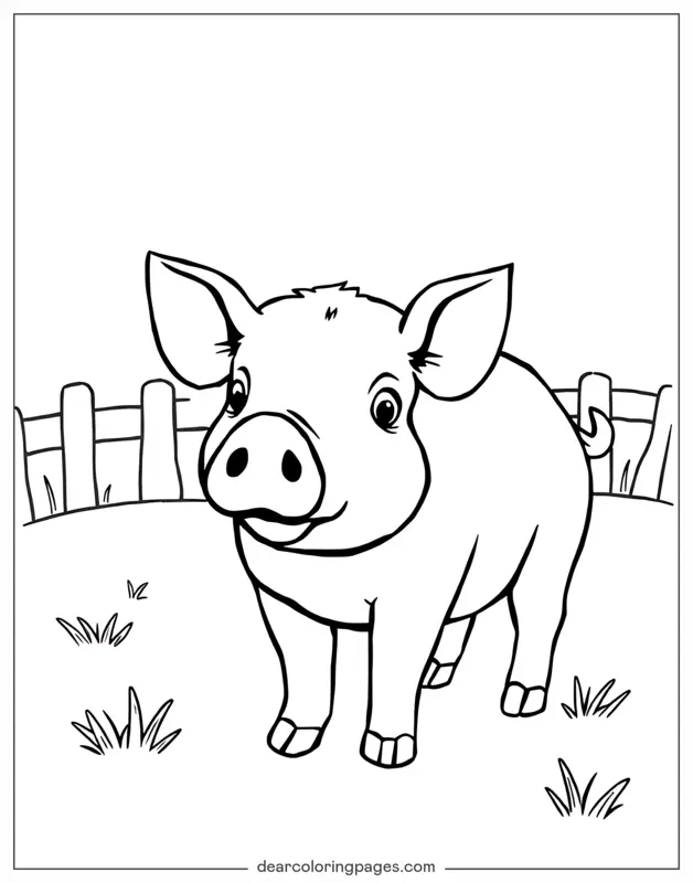 Cerdo Dibujo para Colorear - Cerdo en la granja