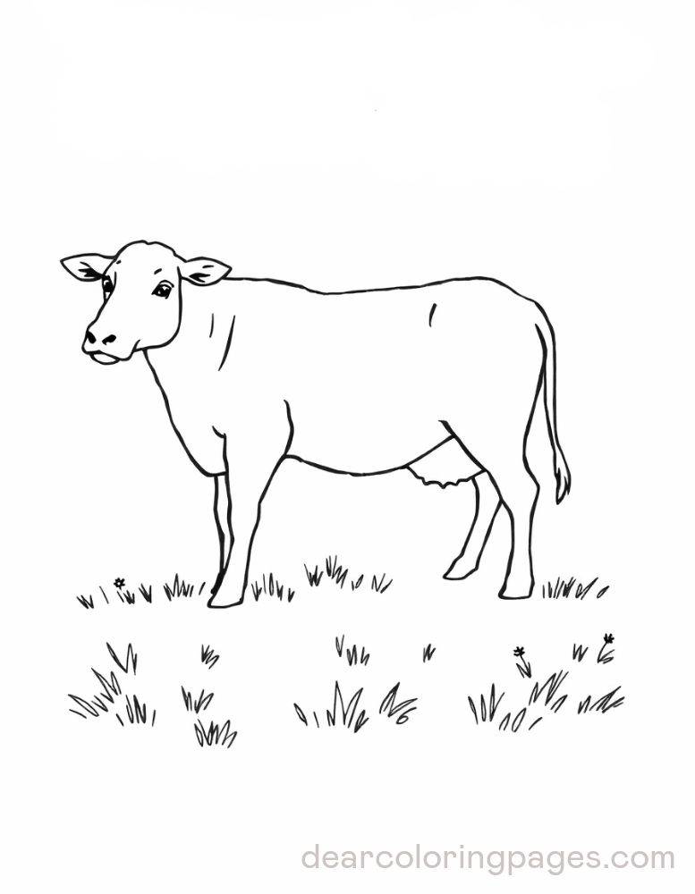 Cow Outline on Farm