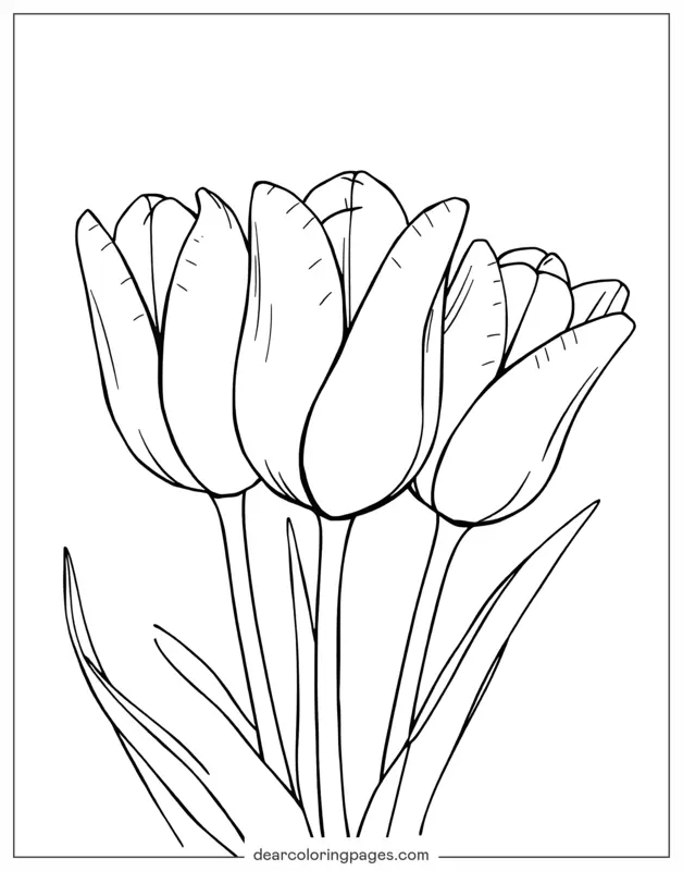Blume Ausmalbild - Drei Tulpen