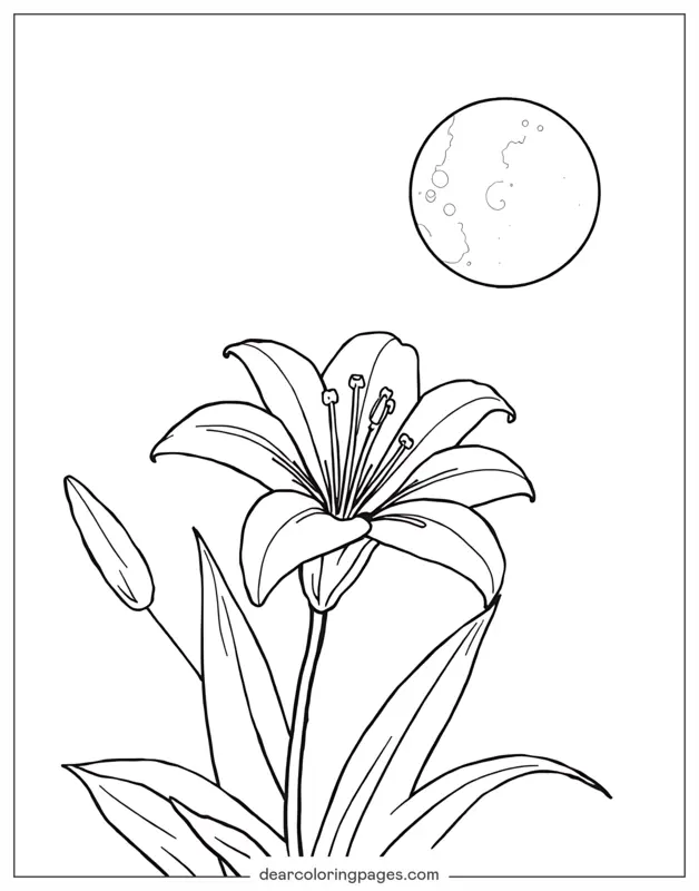 Blume Ausmalbild - Lilie unter dem Mond