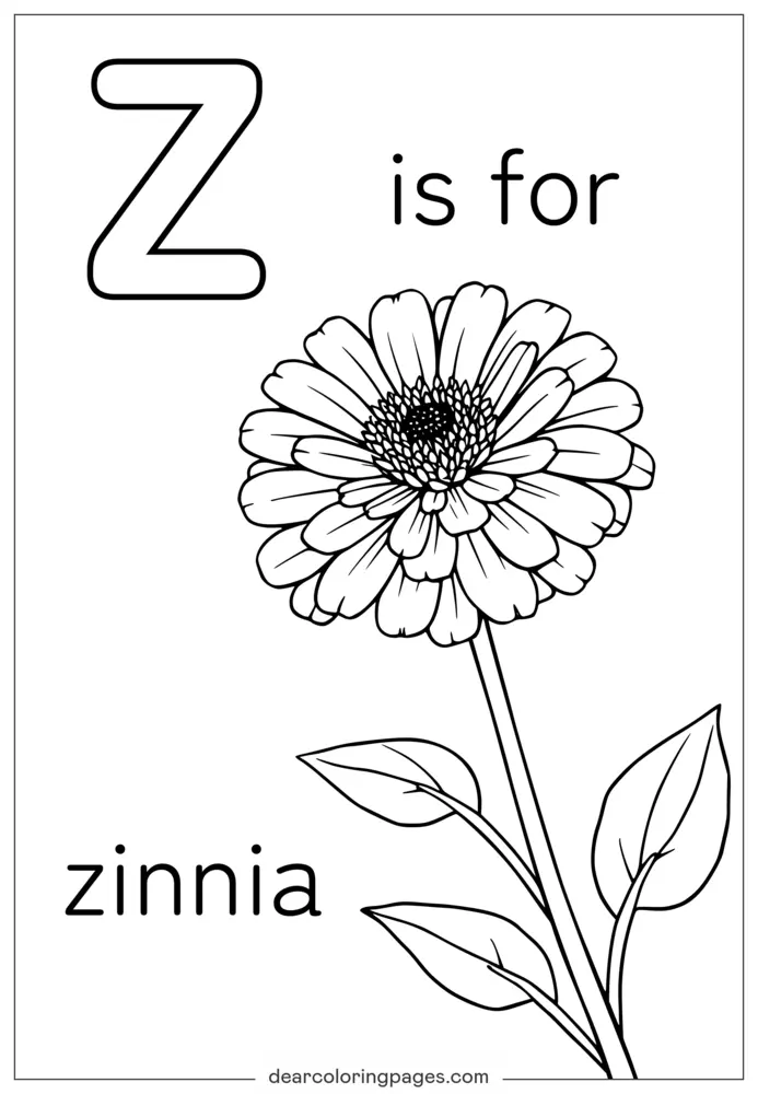 字母Z塗色頁 - Z代表Zinnia百日菊