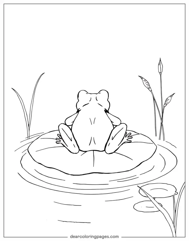 Coloriage de Grenouille – Grenouille de dos