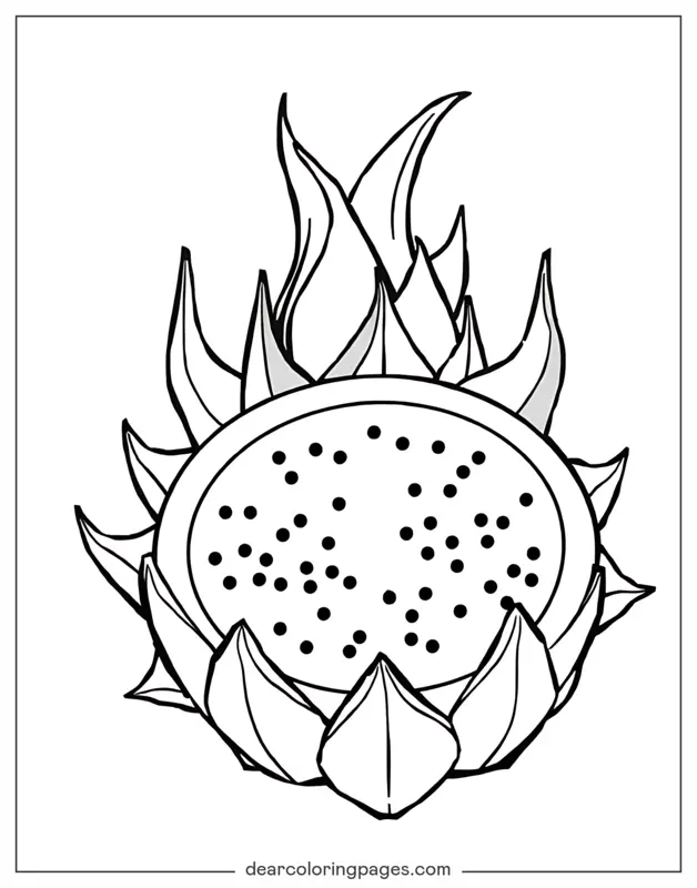 Coloriage de Fruits – Moitié de fruit du dragon
