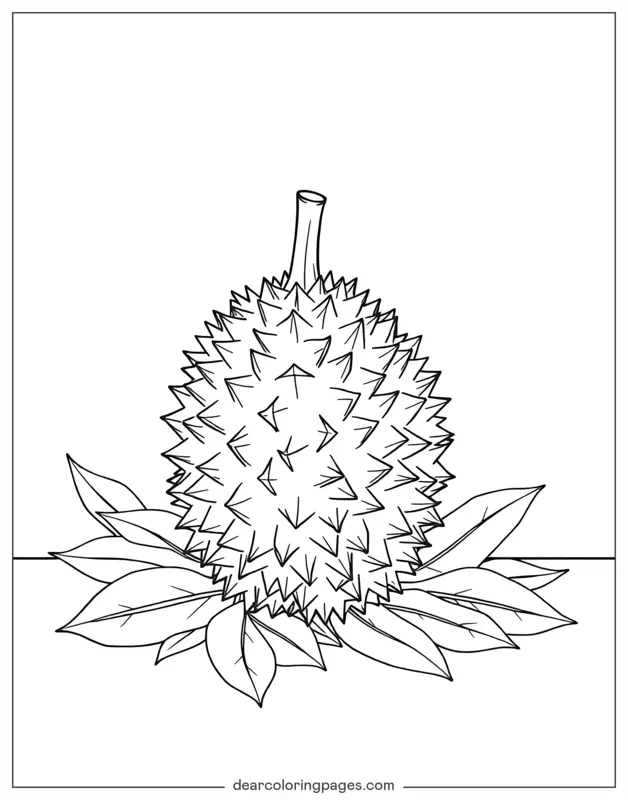 Coloriage de Fruits – Durian