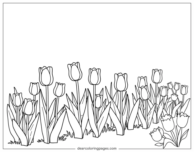 Tulipano Disegno da Colorare - Colorazione Giardino di Tulipani