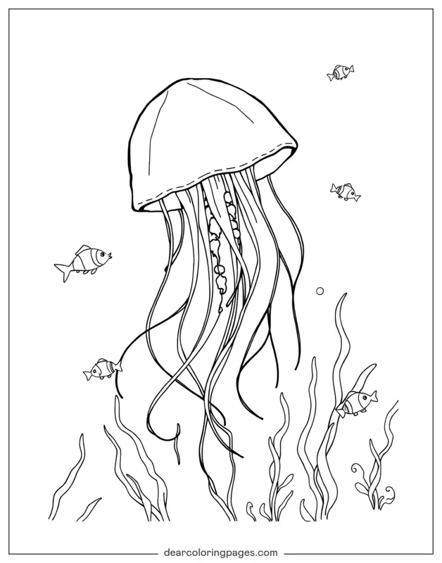 Medusa Dibujo para Colorear - Medusa flotante