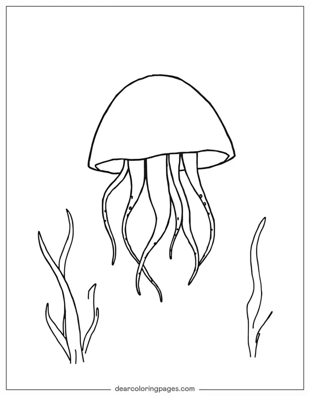 Medusa Dibujo para Colorear - Medusa simple