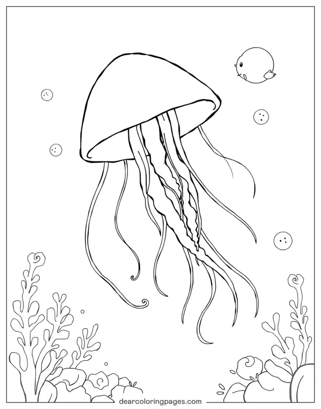 Medusa Dibujo para Colorear - Medusas deslizándose