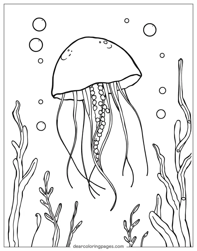 Medusa Dibujo para Colorear - Medusa Flotante