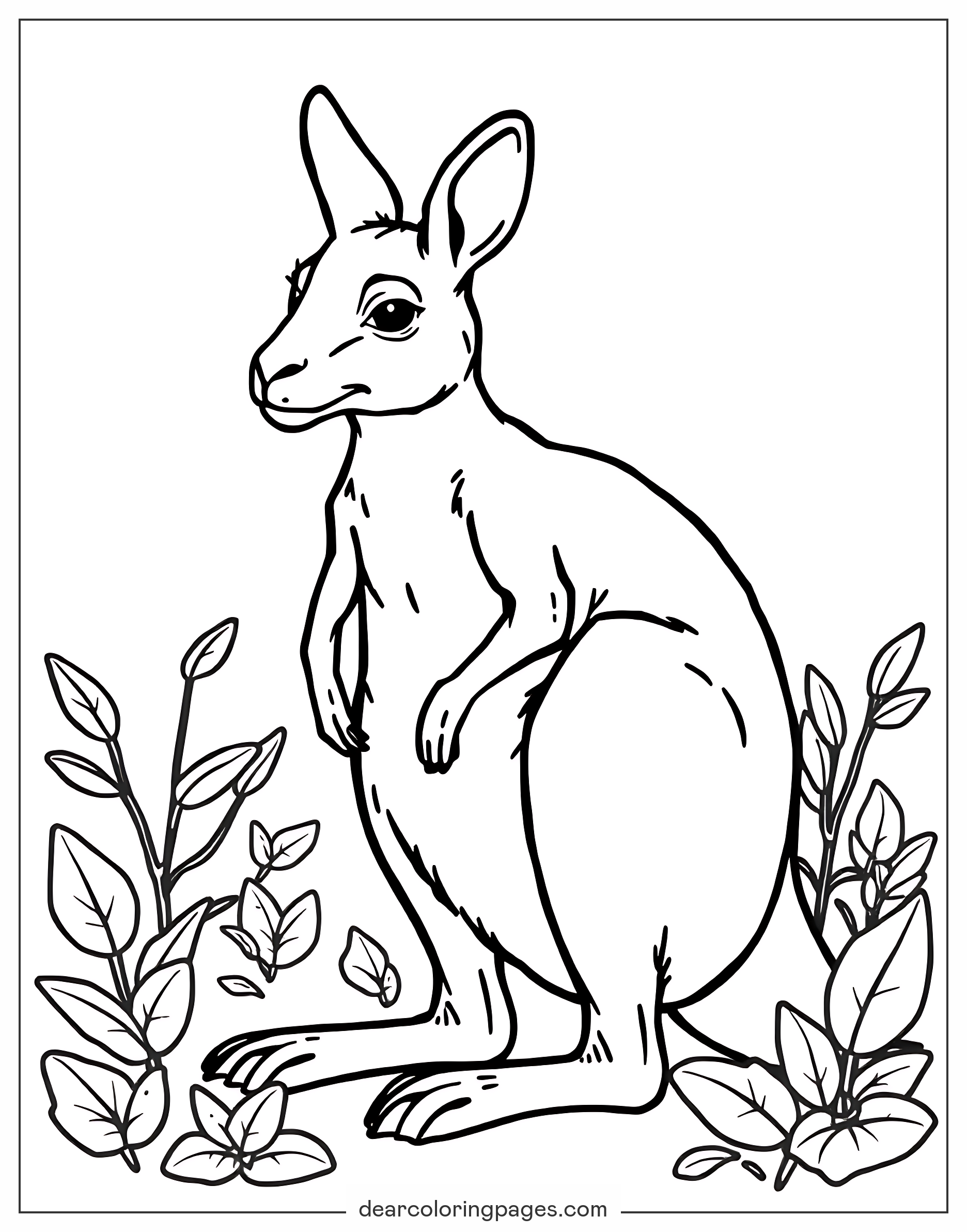 Kangaroo Colorear Kangur Kolorowanki Cangurus Canguro Kangourou Kangaroo Colorear Kangur Kolorowanki Cangurus Canguro Kangourou