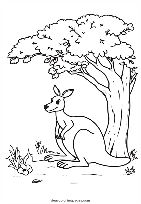 Animali Disegni da Colorare - Canguro Disegno da Colorare