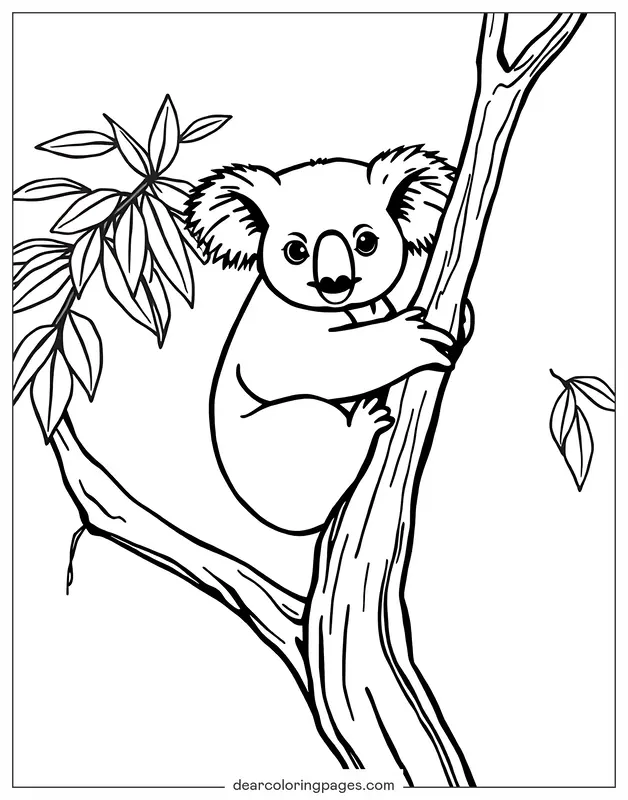 Koala Dibujo para Colorear - Koala en un árbol