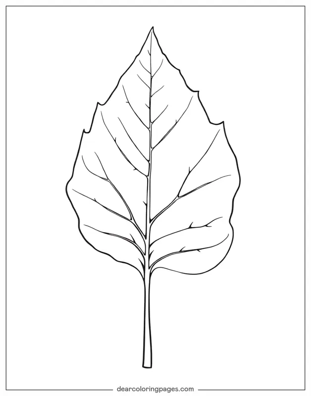 Foglia Disegno da Colorare - Foglia Grande