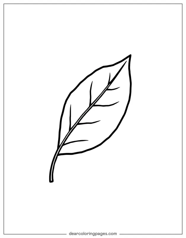 Foglia Disegno da Colorare - Colorazione di Foglie a Linee Semplici