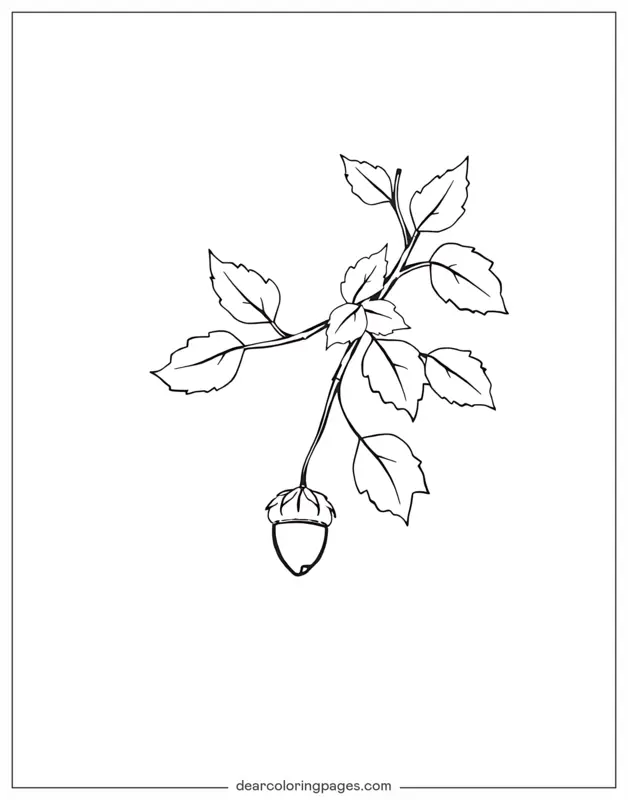 Foglia Disegno da Colorare - Foglie e Ghianda