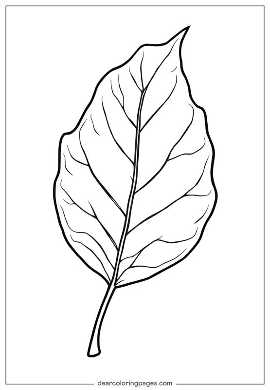 Foglia Disegno da Colorare - Disegno da Colorare Foglia Facile