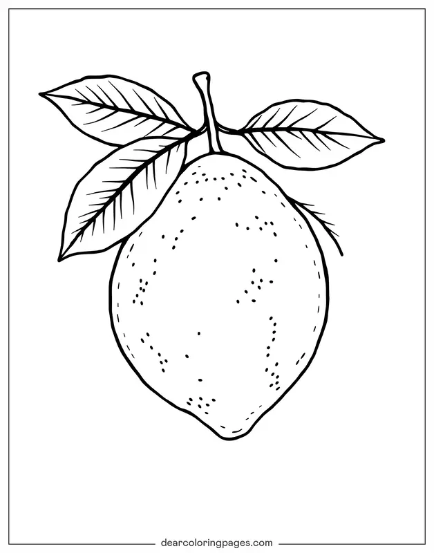 Limón Dibujo para Colorear - Limón