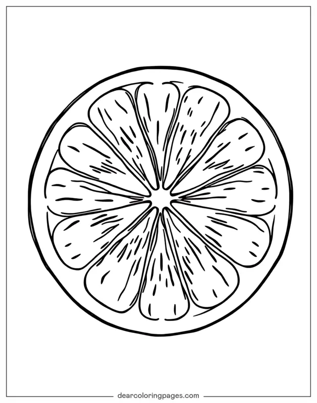 Coloriage de Fruits – Tranche de citron