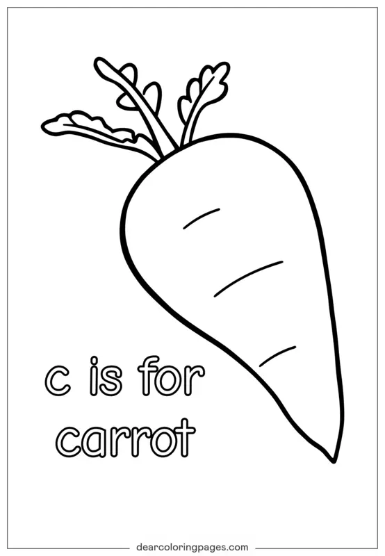 C代表Carrot