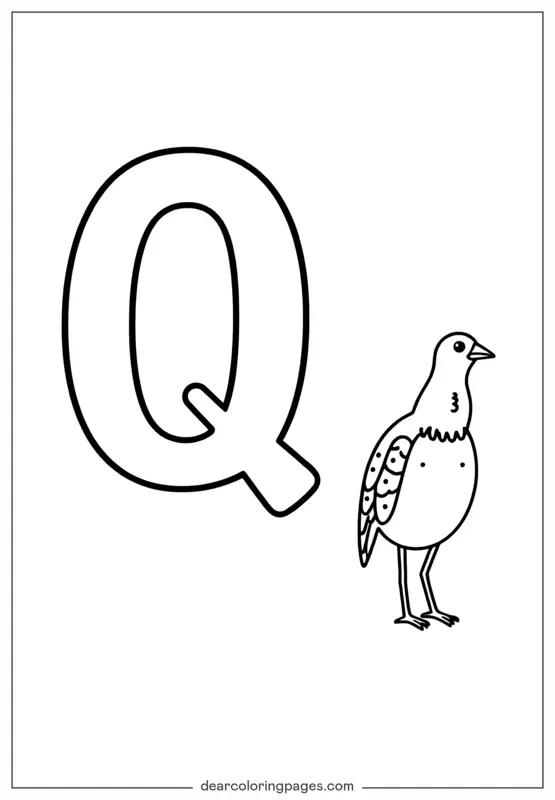 Letter Q is for Quail