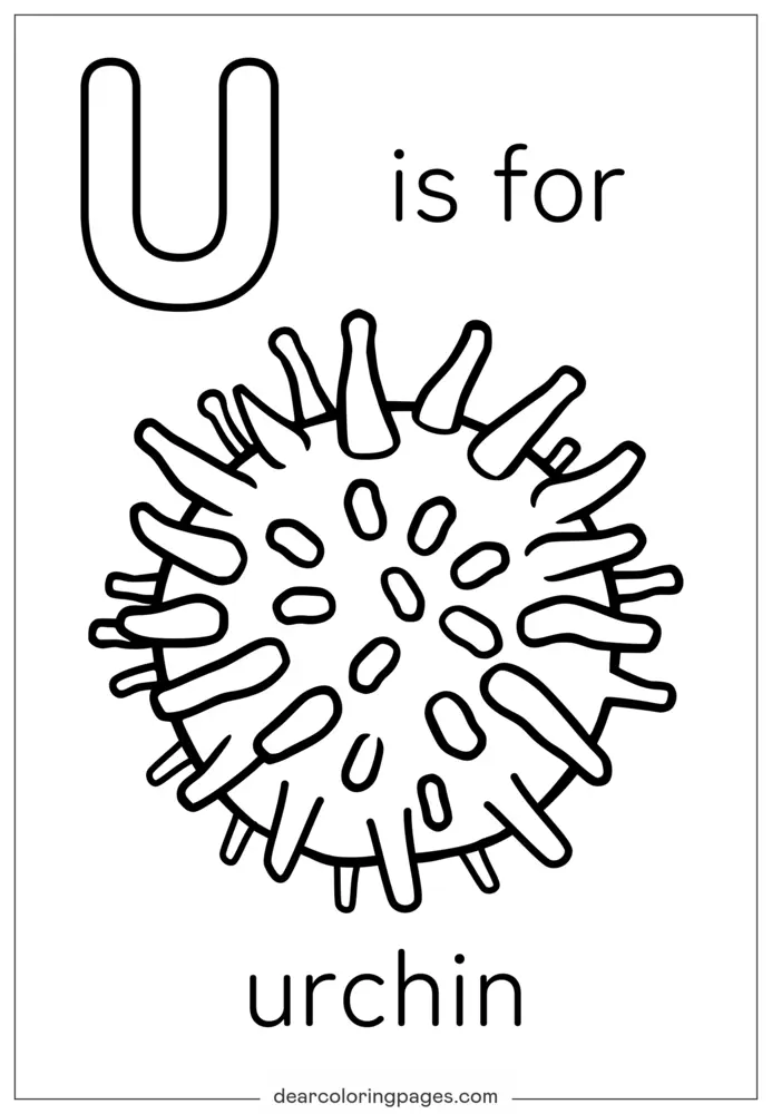 Dibujo para Colorear Letra U - U es para Urchin