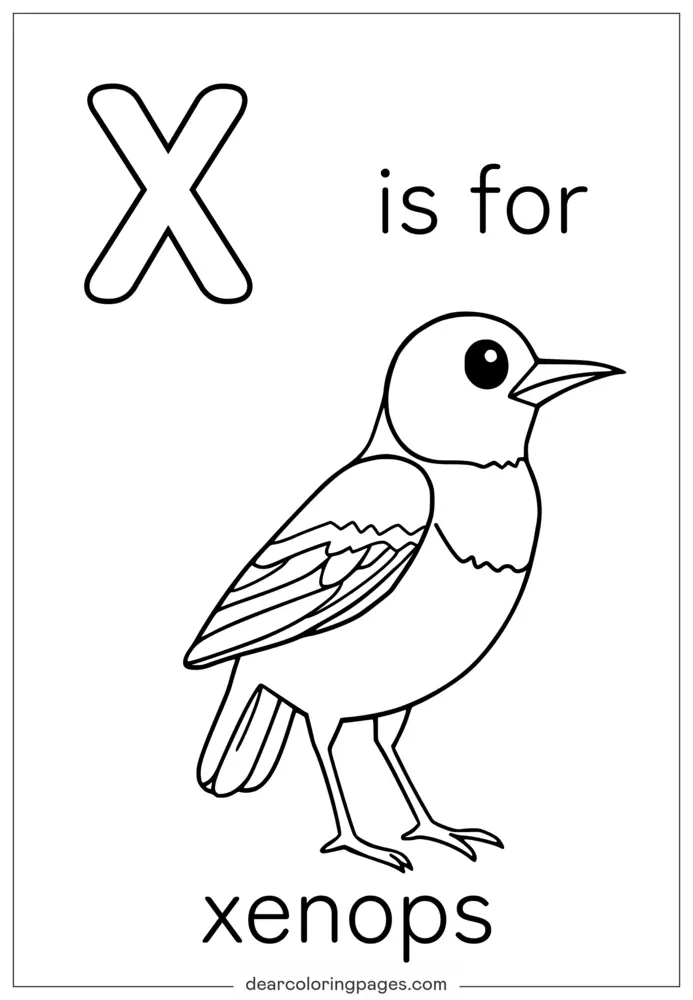 字母X塗色頁 - X代表Xenops