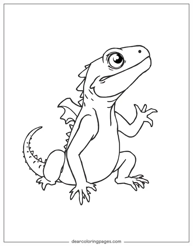 Lagarto Dibujo para Colorear - Lagartija simple