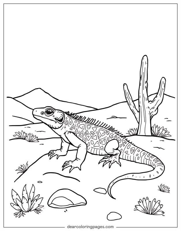 Lagarto Dibujo para Colorear - Lagarto en el desierto