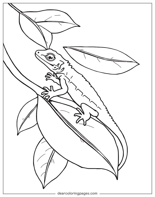 Lagarto Dibujo para Colorear - Lagarto en una hoja