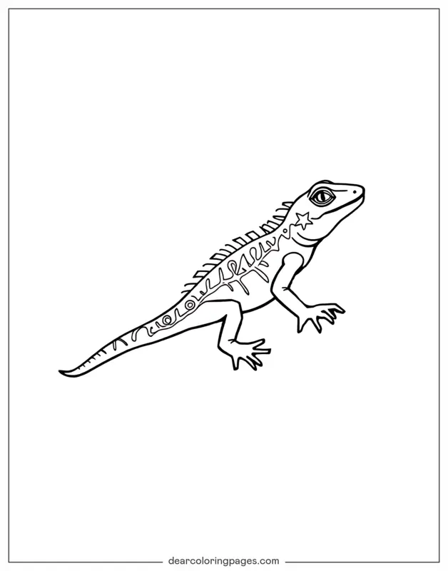 Lagarto Dibujo para Colorear - Lagartija Simple
